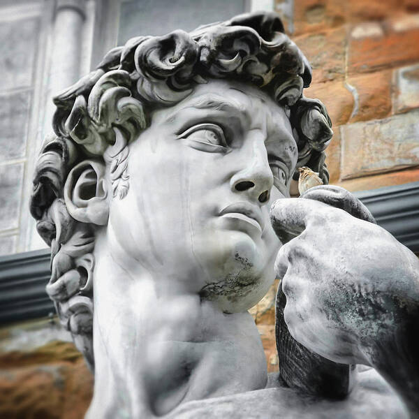 David Poster featuring the photograph David by Michelangelo Florence Italy Face Detail   by Carol Japp