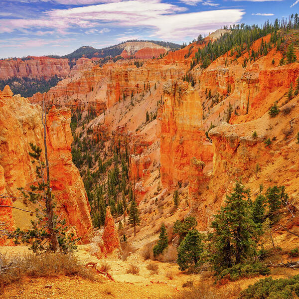 Bryce Canyon Poster featuring the photograph December 2022 Bryce Canyon Detail by Alain Zarinelli