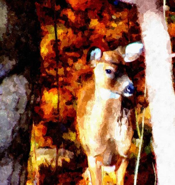 Deer Poster featuring the mixed media Deer in the Woods by Christopher Reed