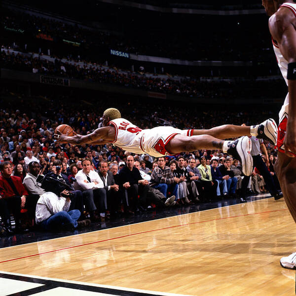 Dennis Rodman Poster featuring the photograph Dennis Rodman Diving For Loose Ball by Sam Forencich