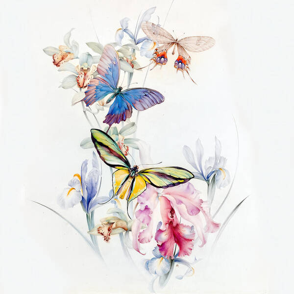 Edward Julius Detmold Poster featuring the photograph Detmold Flowers and Butterflies by Munir Alawi