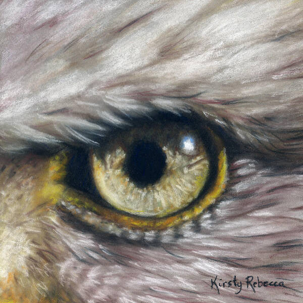  Poster featuring the pastel Eagle Eye Study by Kirsty Rebecca