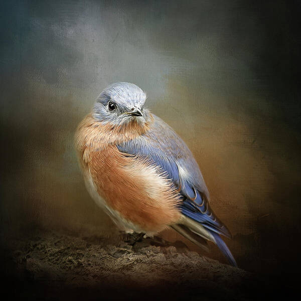 Bird Poster featuring the digital art Eastern Bluebird by Maggy Pease