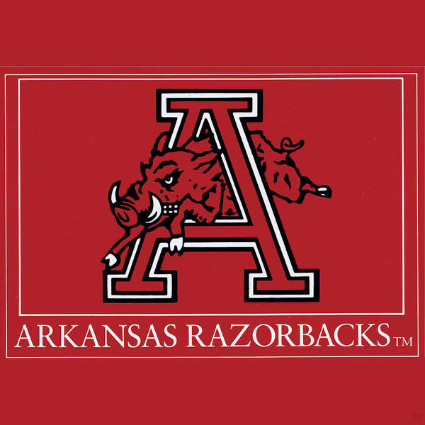Arkansas Poster featuring the mixed media Eighties Arkansas Razorback Art by Row One Brand