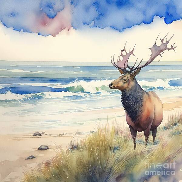 Animal Poster featuring the painting Elk At Beach by N Akkash