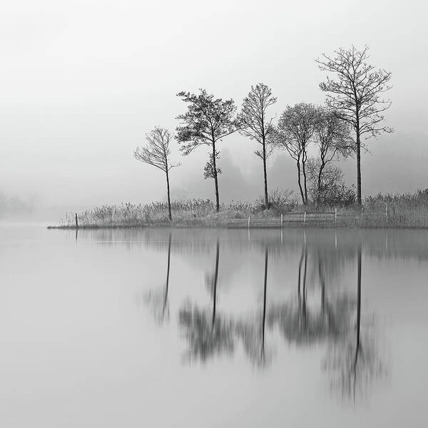 Loch Lomond Poster featuring the photograph Fine Trees from the misty shore of Loch Ard by Grant Glendinning