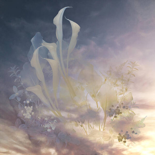 Clouds Poster featuring the photograph Floating Flora by Marsha Tudor
