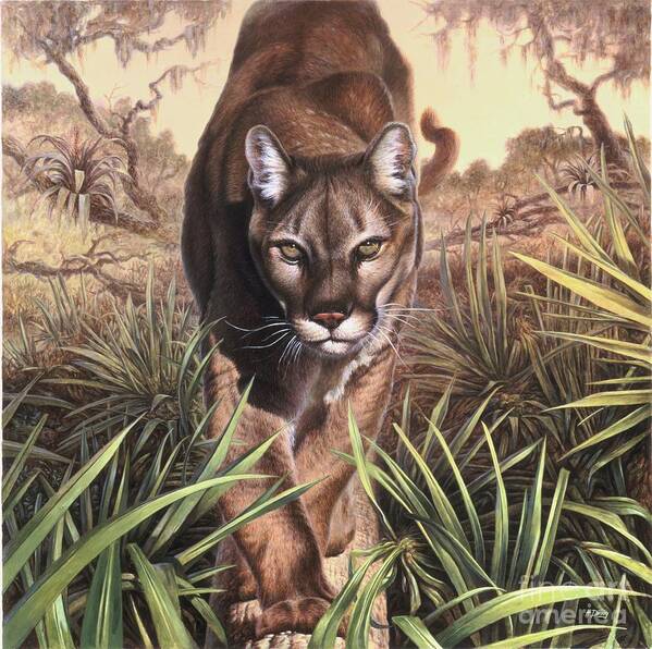 Florida Poster featuring the painting Florida Panther by Hans Droog