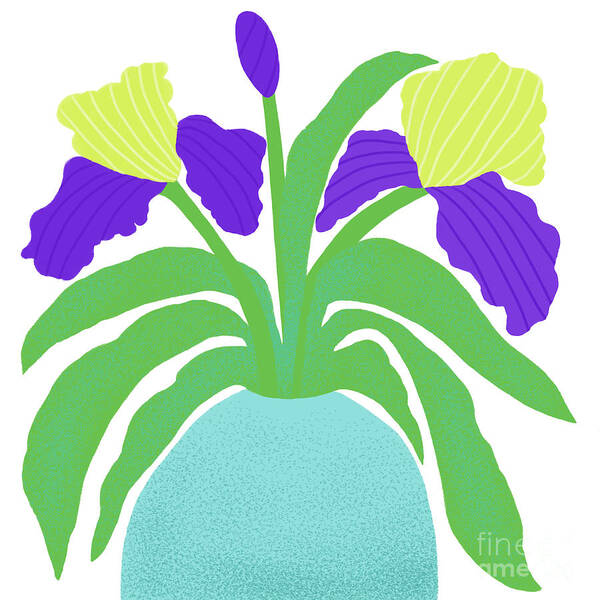Irises Poster featuring the drawing Flower-de-luce by Min Fen Zhu