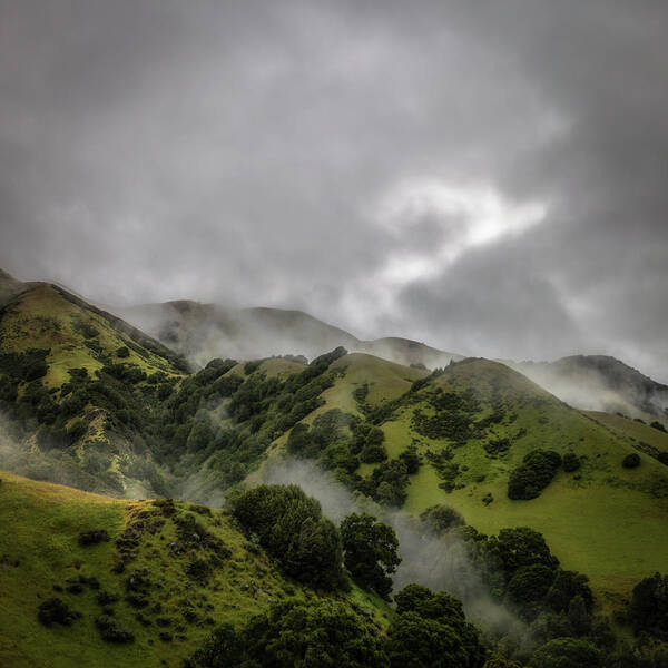 Foggy Hills Poster featuring the photograph Foggy Hills, Las Gallinas Valley by Donald Kinney