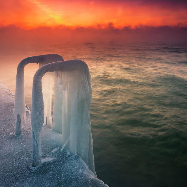 Dawn Poster featuring the photograph Frozen by Evgeni Dinev