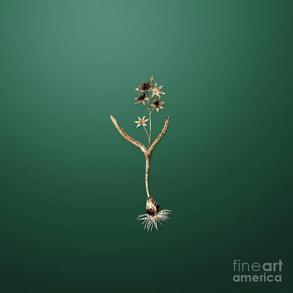 Gold Poster featuring the painting Gold Alpine Squill on Dark Spring Green n.03614 by Holy Rock Design