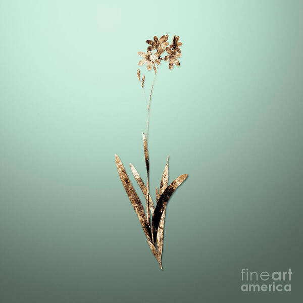 Gold Poster featuring the painting Gold Corn Lily on Mint Green n.01756 by Holy Rock Design