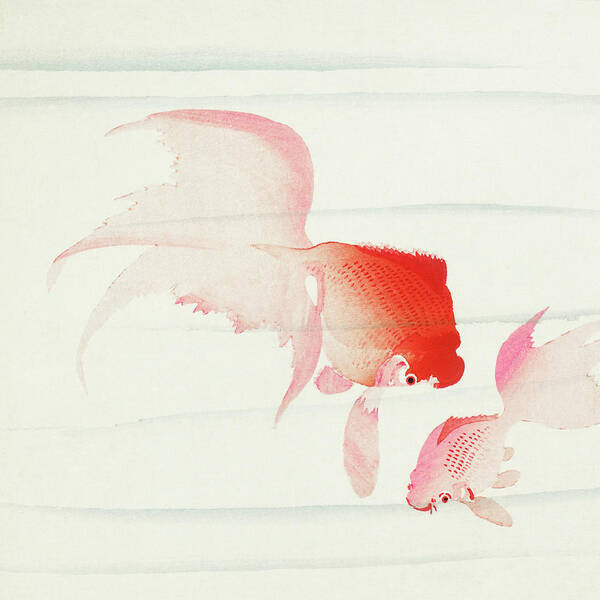 Red Poster featuring the painting Gold fish by Ohara Koson