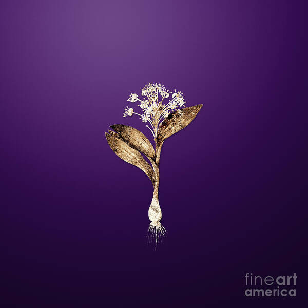 Gold Poster featuring the painting Gold Pygmy Hyacinth on Royal Purple n.02476 by Holy Rock Design