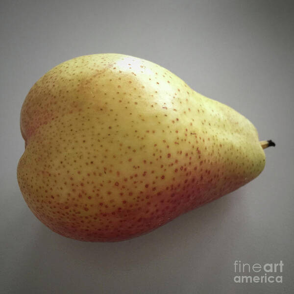 Pear Poster featuring the photograph Golden Pear by Wendy Golden