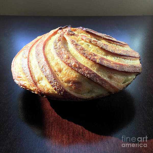 Bread Poster featuring the photograph Golden Sourdough Swirls 1 by Amy E Fraser