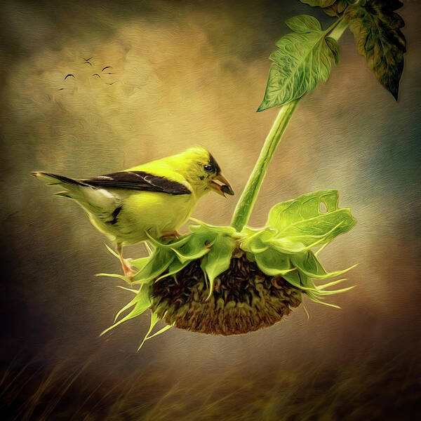 Goldfinch Poster featuring the digital art Goldfinch by Maggy Pease