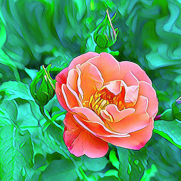 Flowers Poster featuring the digital art Gorgeous Rose by Nancy Olivia Hoffmann
