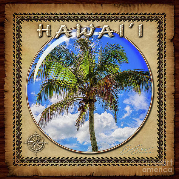 Waikiki Poster featuring the photograph Hawaiian Palm Tree Sphere Image with Hawaiian Style Border by Aloha Art