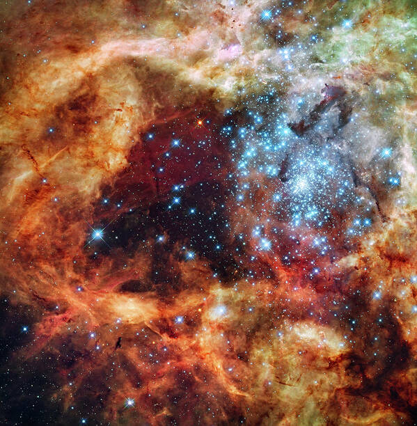 Nasa Poster featuring the photograph Hubble's view of a grand star-forming region by Nasa