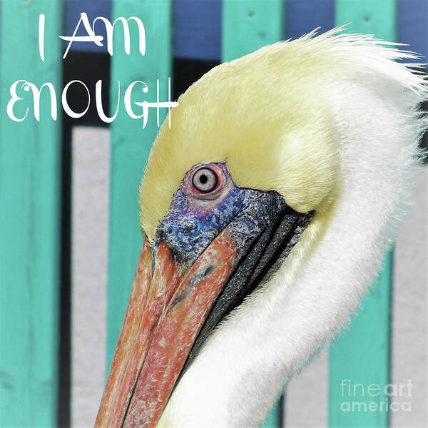 Inspiration Poster featuring the photograph I Am Enough by Joanne Carey