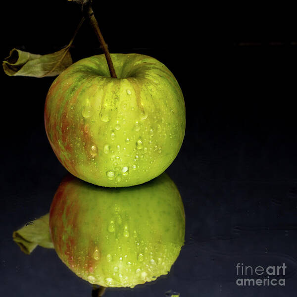 Apple Poster featuring the photograph Juicy green apple by Agnes Caruso