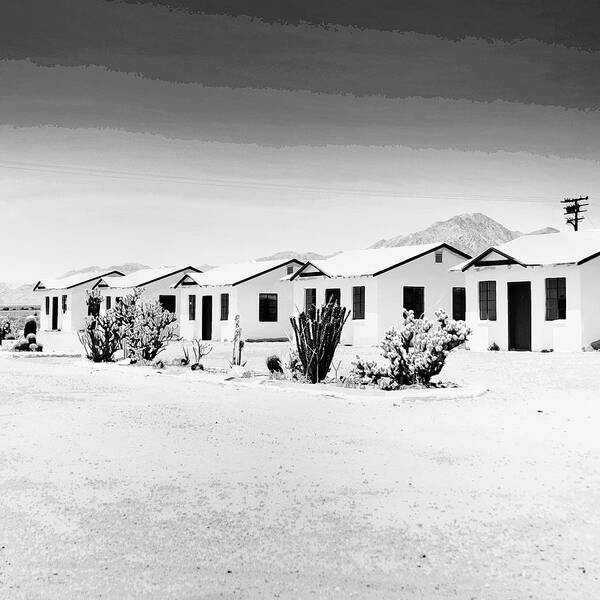 Photograph Poster featuring the photograph LITTLE WHITE COTTAGES Route 66 Amboy CA by William Dey