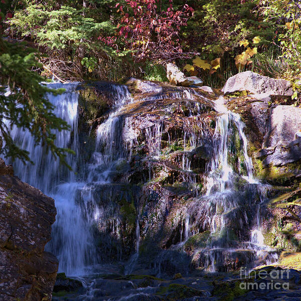 Waterfall Poster featuring the photograph Lost Creek Waterfall by Kae Cheatham