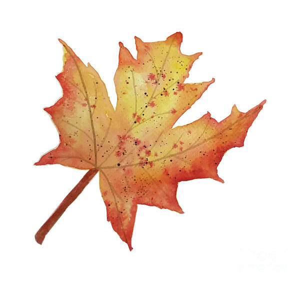 Maple Leaf Poster featuring the painting Maple Leaf by Lisa Neuman