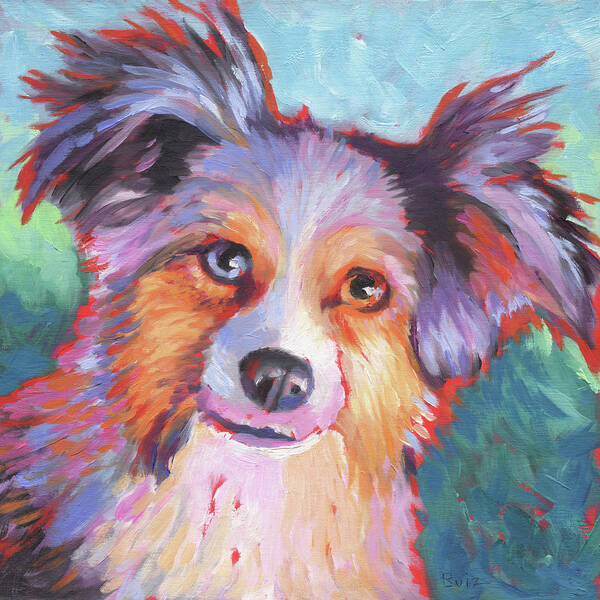 Miniature Australian Shepherd Poster featuring the painting Mini Australian Shepherd by Linda Ruiz-Lozito