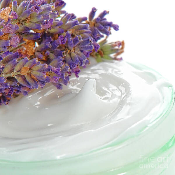 Moisturizer Poster featuring the photograph Moisturizing Cream in a Jar and Lavender Flowers by Olivier Le Queinec