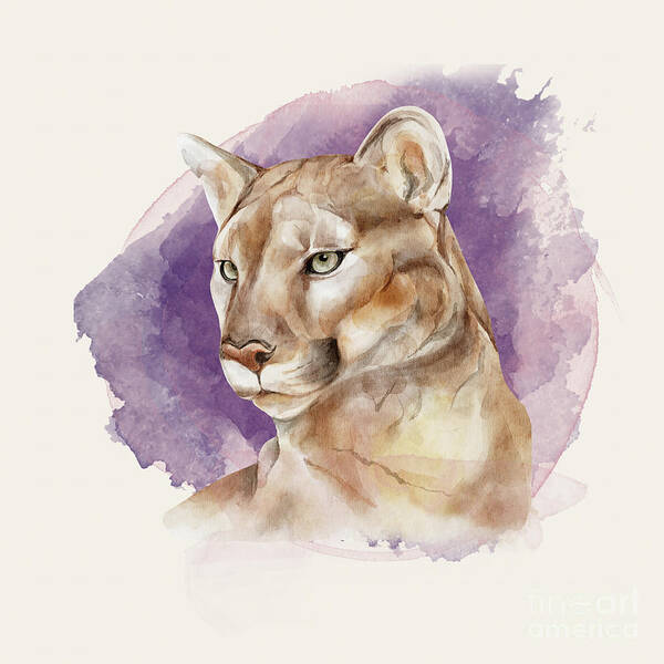 Mountain Lion Poster featuring the painting Mountain Lion by Garden Of Delights