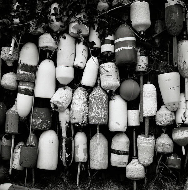 Nantucket Poster featuring the photograph Nantucket Bouys by Nickleen Mosher