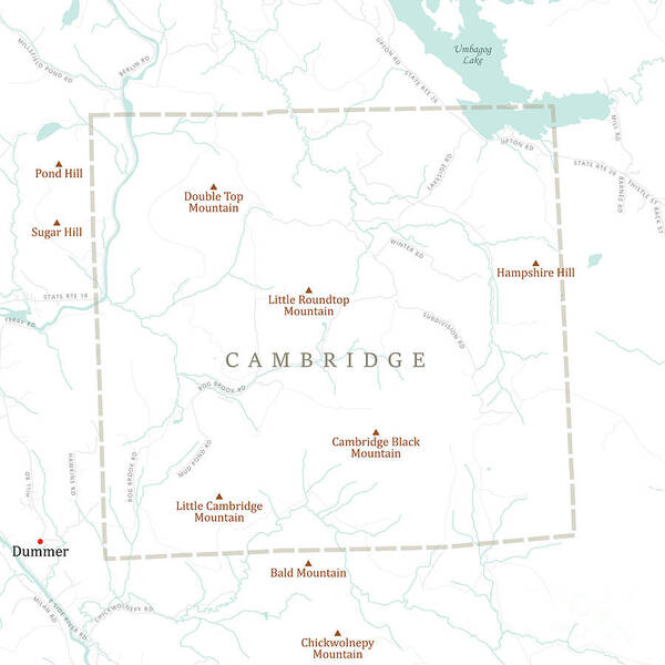 New Hampshire Poster featuring the digital art NH Coos Cambridge Vector Road Map by Frank Ramspott