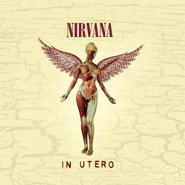 Nirvana Poster featuring the photograph Nirvana Utero album cover by Action