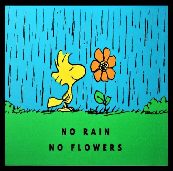Charles Shultz Poster featuring the photograph No Rain No Flowers by Rob Hans