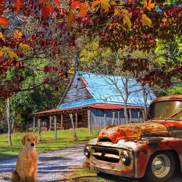 1951 Poster featuring the photograph Ol' Country Rust in Square by Debra and Dave Vanderlaan