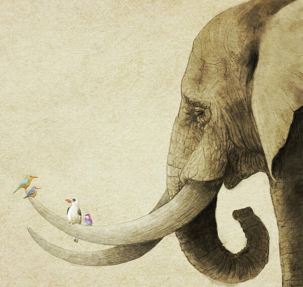 Elephant Poster featuring the drawing Old Friend by Eric Fan