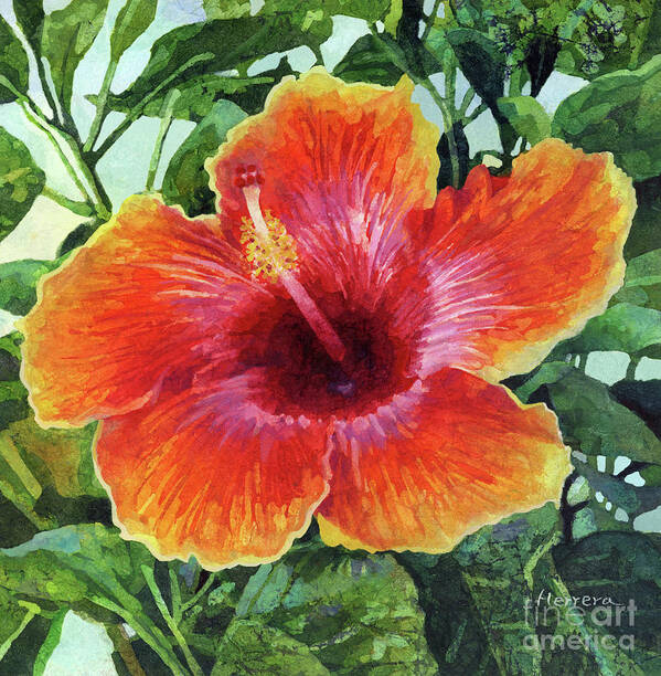 Flower Poster featuring the painting Orange Pink Hibiscus by Hailey E Herrera