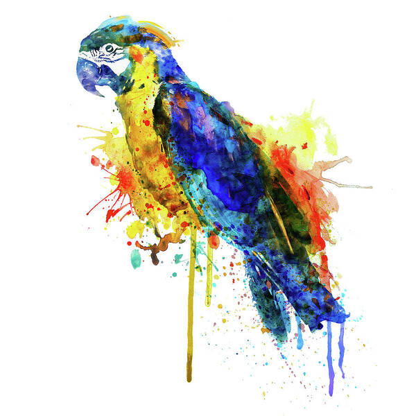 Marian Voicu Poster featuring the painting Parrot Watercolor by Marian Voicu