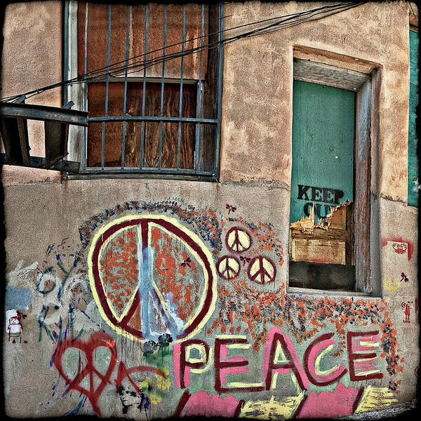 Back Alley Poster featuring the photograph Peace, Baby by Carmen Kern