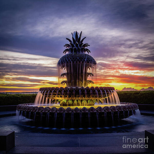 2020 Poster featuring the photograph Pineapple Fountain at Dawn-1 by Charles Hite