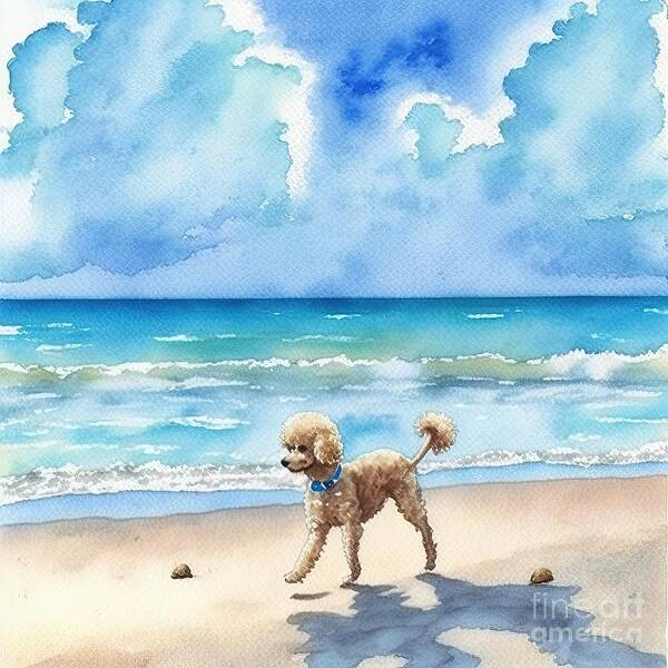 Poodle Dog Poster featuring the painting Poodle dog at beach by N Akkash