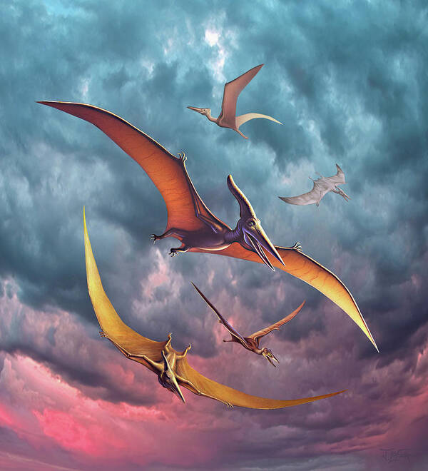 The Glorious Twilight of Pterosaurs