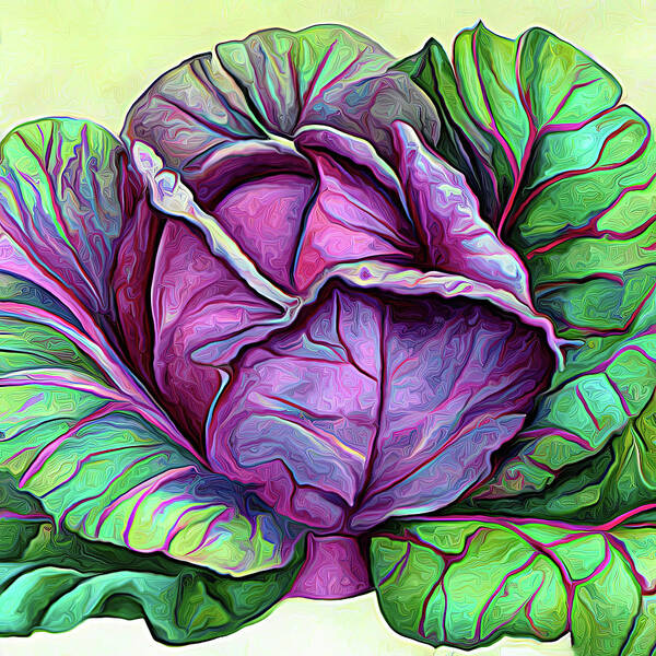 Purple Cabbage Poster featuring the digital art Purple Cabbage 5a by Cathy Anderson