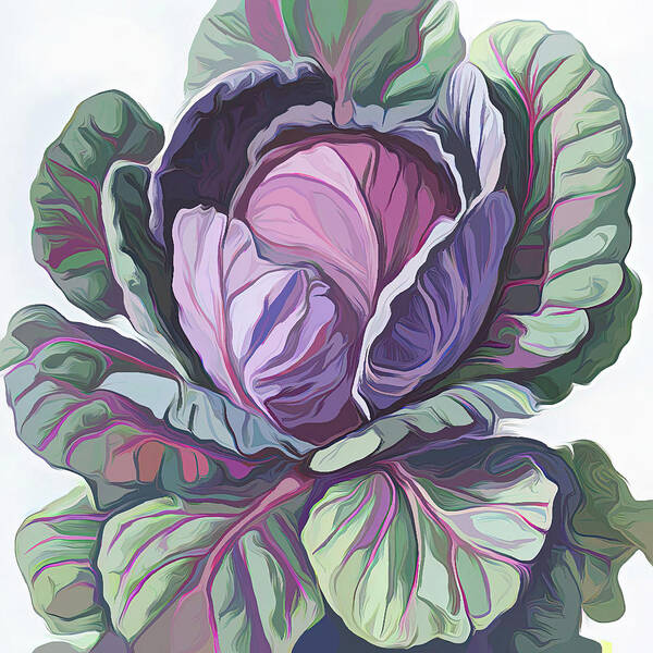Purple Cabbage Poster featuring the digital art Purple Cabbage painting by Cathy Anderson