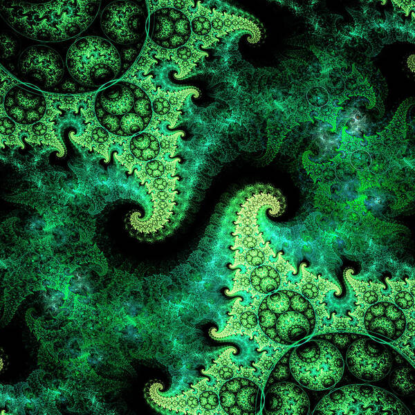 Fractal Poster featuring the digital art Qi #5 by Mary Ann Benoit