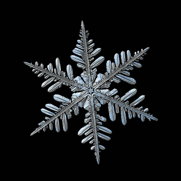 Snowflake Poster featuring the photograph Real snowflake 2016-01-09_2b by Alexey Kljatov