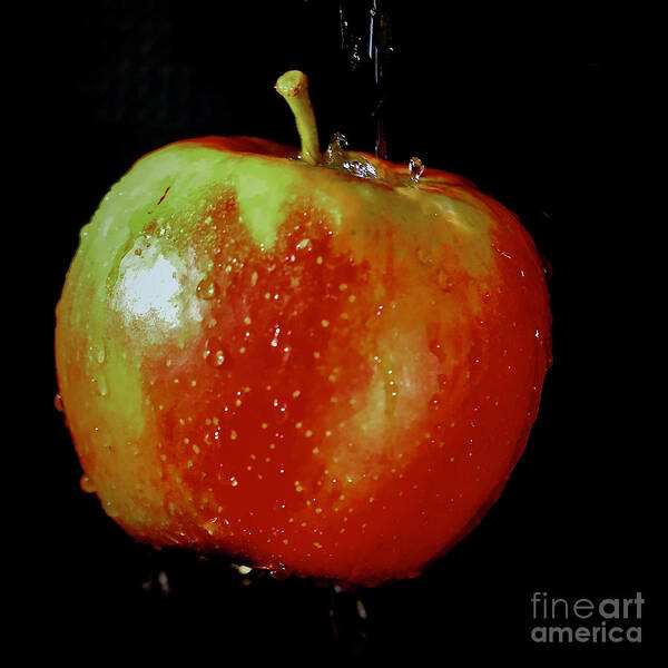 Apple Poster featuring the photograph Red Apple by Elisabeth Derichs